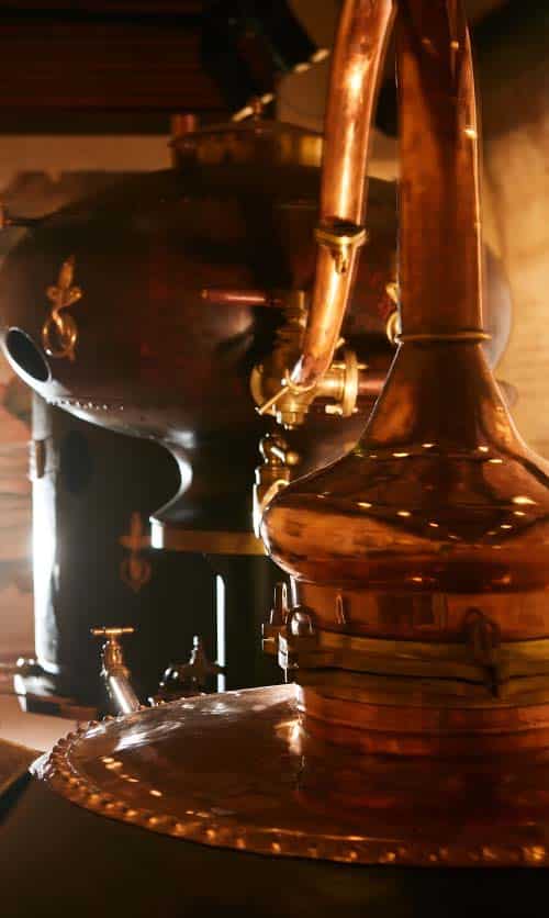 alambic stupfler en cuivre de la distillerie sauvage Elixirs dans l'Hérault pour la distillation des spiritueux